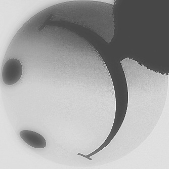 [sorriso21111[15].jpg]