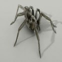 Spider In Your Phone logo