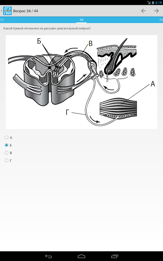 Скачать Бесплатно Тесты Гиа По Математике 2015
