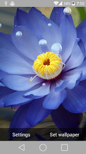 How to download Lotus Live Wallpaper lastet apk for pc