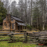 Cabin in the Woods by Tony Cox -  
