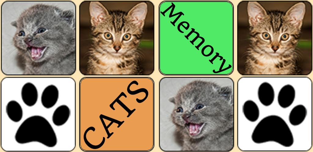 Кошки память на русском. Мемори кошки. Game Cat mem. Как сделать в память о кошке. Mems Cat and Spirits.
