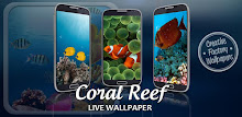 Coral Reef Live Wallpaper APK