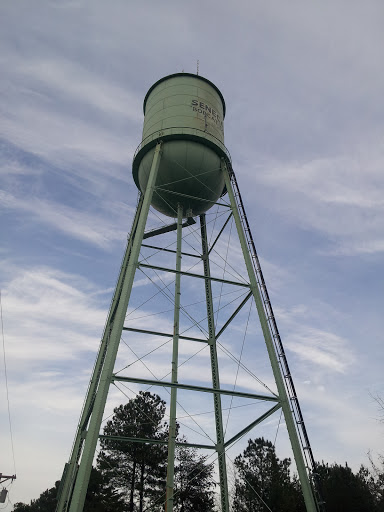 Seneca Bobcats Water Tower
