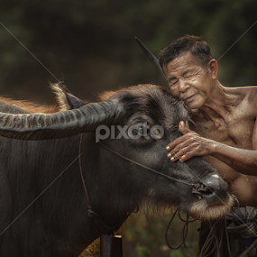 by Jakkree Thampitakkul - Uncategorized All Uncategorized