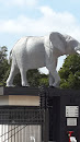 Large Elephant 