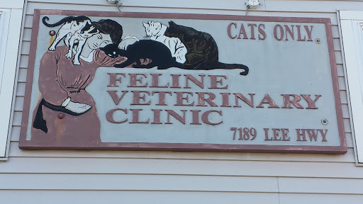 Cat Clinic