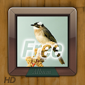9s-Album HD Free