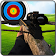 Crossbow Shooting Master icon