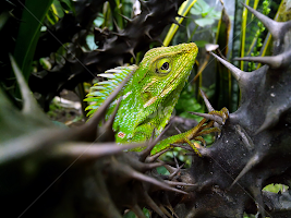 thinking of life by Hendrata Yoga Surya -  