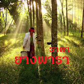 ราคายางพารา