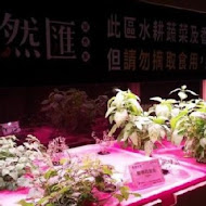 果然匯