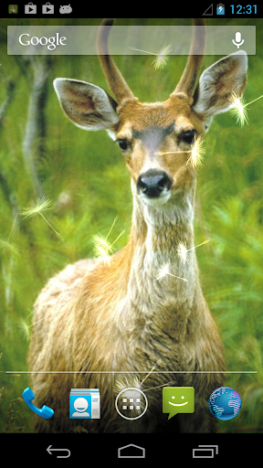 Deer Live Wallpaper ★