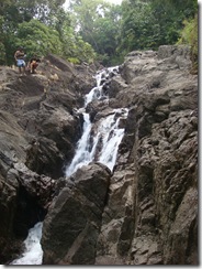 DSC01424