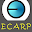 Electrocarp Download on Windows