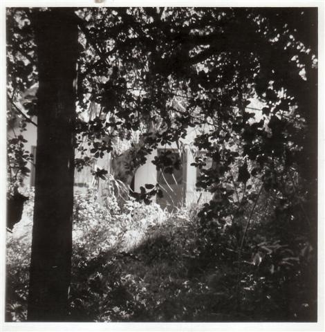 [mount_ievers_hut (Small).jpg]