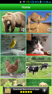 Animal Sounds Screenshots 3