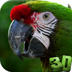 Parrot 3D Video Live Wallpaper Apk