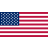 US Flag logo
