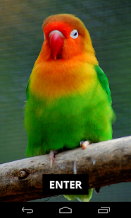 How to get Bird Sounds - Free songs lastet apk for android