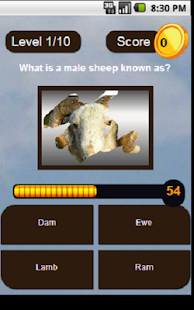 Lastest Brain O Drill APK for Android