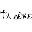 Ta Mere Sur Internet logo
