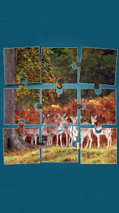 How to download Wildlife Jigsaw Puzzle patch 3.0 apk for pc