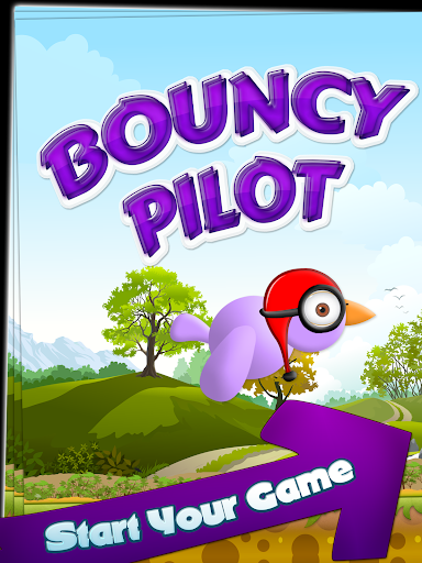 Bouncy Pilot Bird Pro