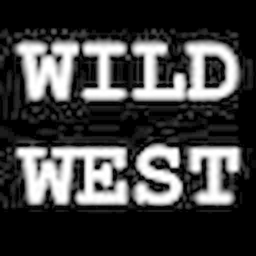 Wild West Arcade Shooter No Ad
