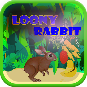 Loony Rabbit.apk 1.1
