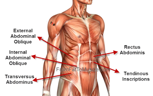Free Download Complete Six Packs Guide APK for Android