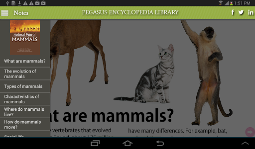 Animal World-Mammals