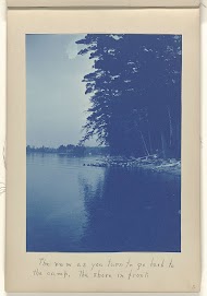 Gezicht over een meer