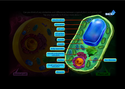 How to mod Cells 2.0 apk for pc
