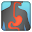 GI Monitor Download on Windows