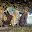 Leopard Jigsaw Download on Windows