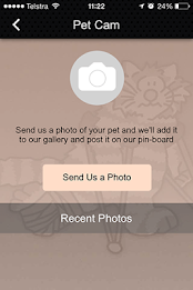 Malvern Veterinary Hospital poster 14