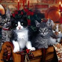Christmas Wallpapers Volume 2 logo