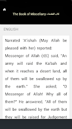 Riyadh al Salihin poster 2