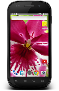 How to mod Orchids Orchid Theme Wallpaper 1.03 unlimited apk for android