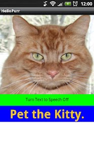 Free Kitty Pet APK