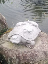 Turtle Statue 