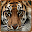 Tigers HD Wallpapers Download on Windows