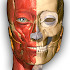 Anatomy Learning - 3D Atlas2.0