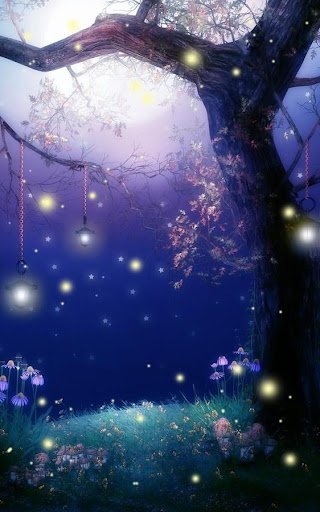 免費下載生活APP|Fireflies Wallpaper app開箱文|APP開箱王