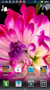 How to get Flower Power Live Wallpaper patch 1.0 apk for bluestacks