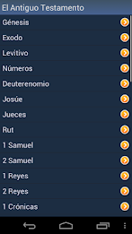 Spanish Holy Bible poster 2