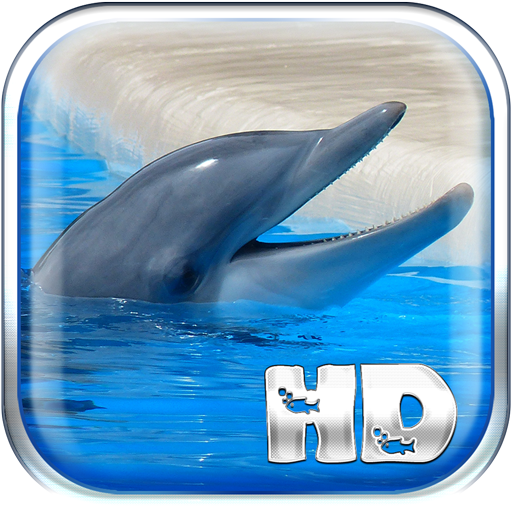 海豚動態壁紙 攝影 App LOGO-APP開箱王