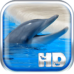 Dolphins Live Wallpaper HD Apk