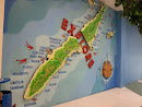 Cebu Island 3D Wall Map 